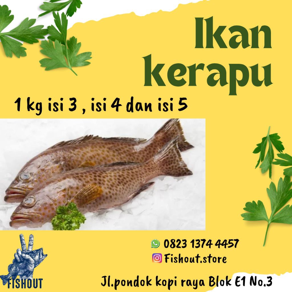 Ikan Kerapu utuh beku / frozen