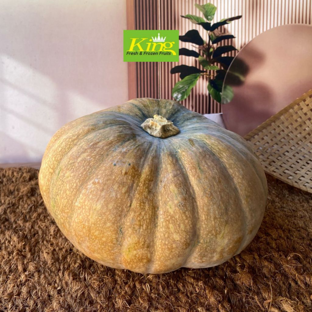 Labu kuning, pumpkins fresh, labu kuning sedang,labu kuning fresh