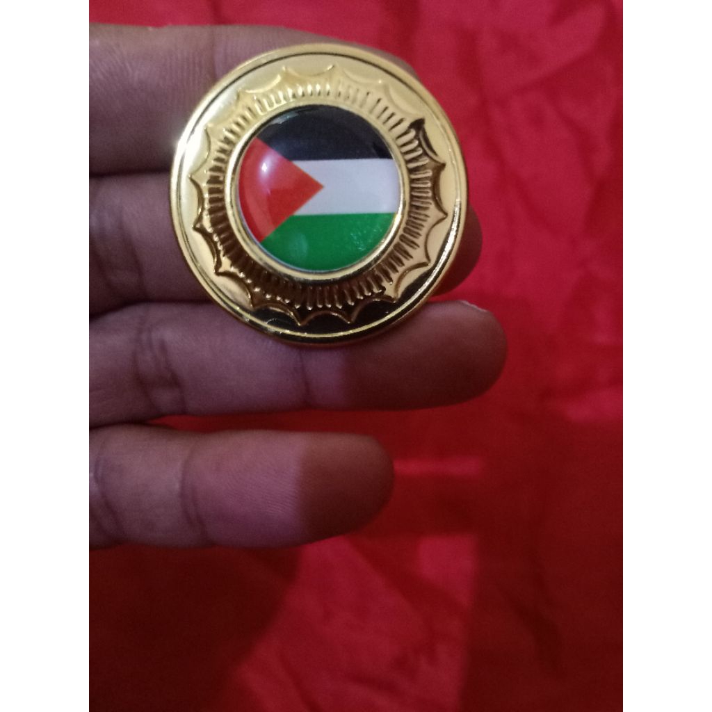 pin logo palestina magnet