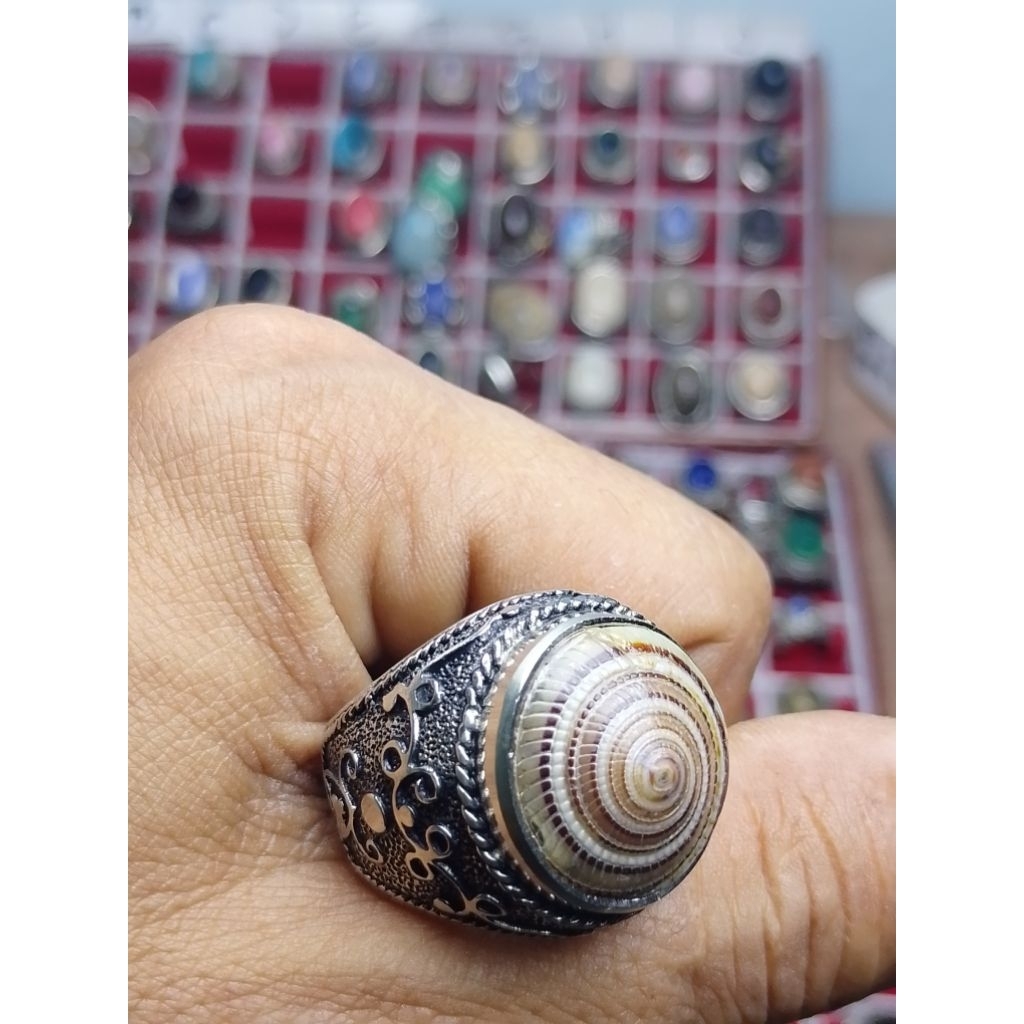 Cincin batu keong kul buntet asli keong pusar bumi