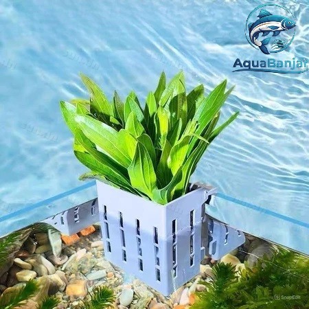 POT TANAMAN AQUARIUM pot keranjang gantung tanaman hidroponik akuarium