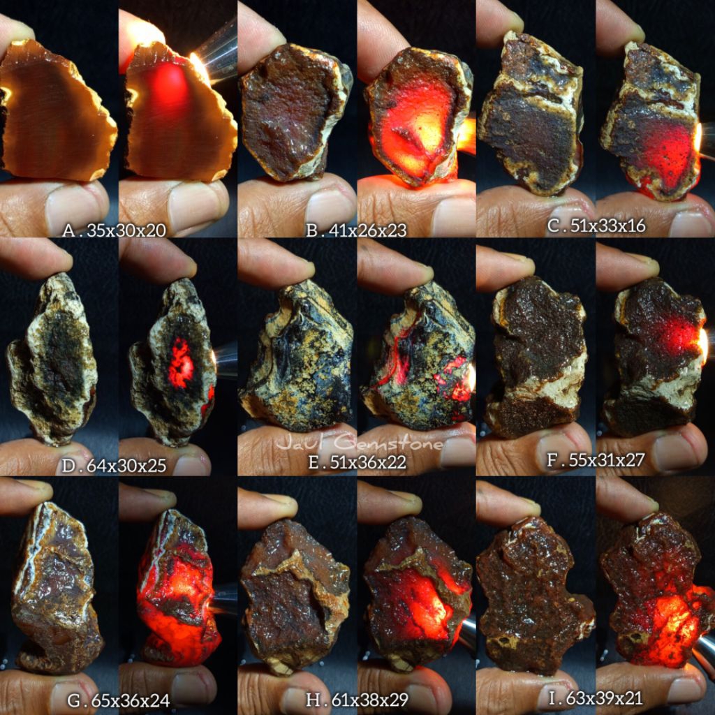 batu red raflesia bengkulu/bongkahan batu red raflesia bengkulu asli(NO DYED)/batu raflesia merah na