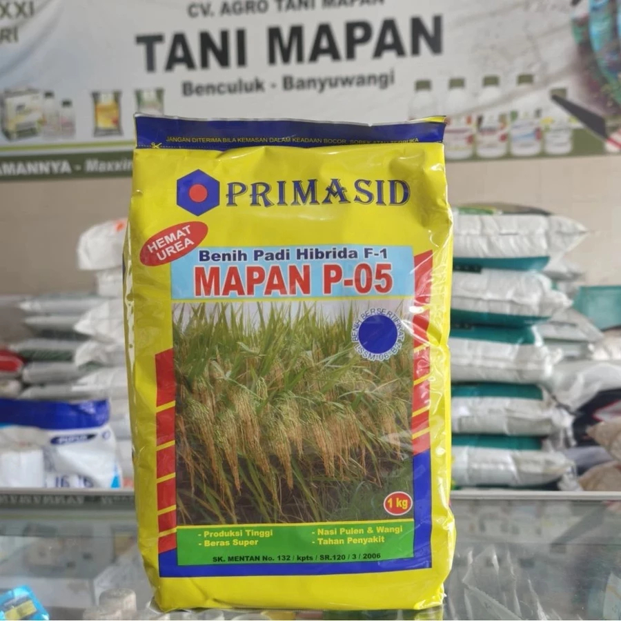 PROMO TERLARISSS !!!!! BENIH PADI MAPAN P05 ORIGINAL||BENIH PADI HIBRIDA MAPAN