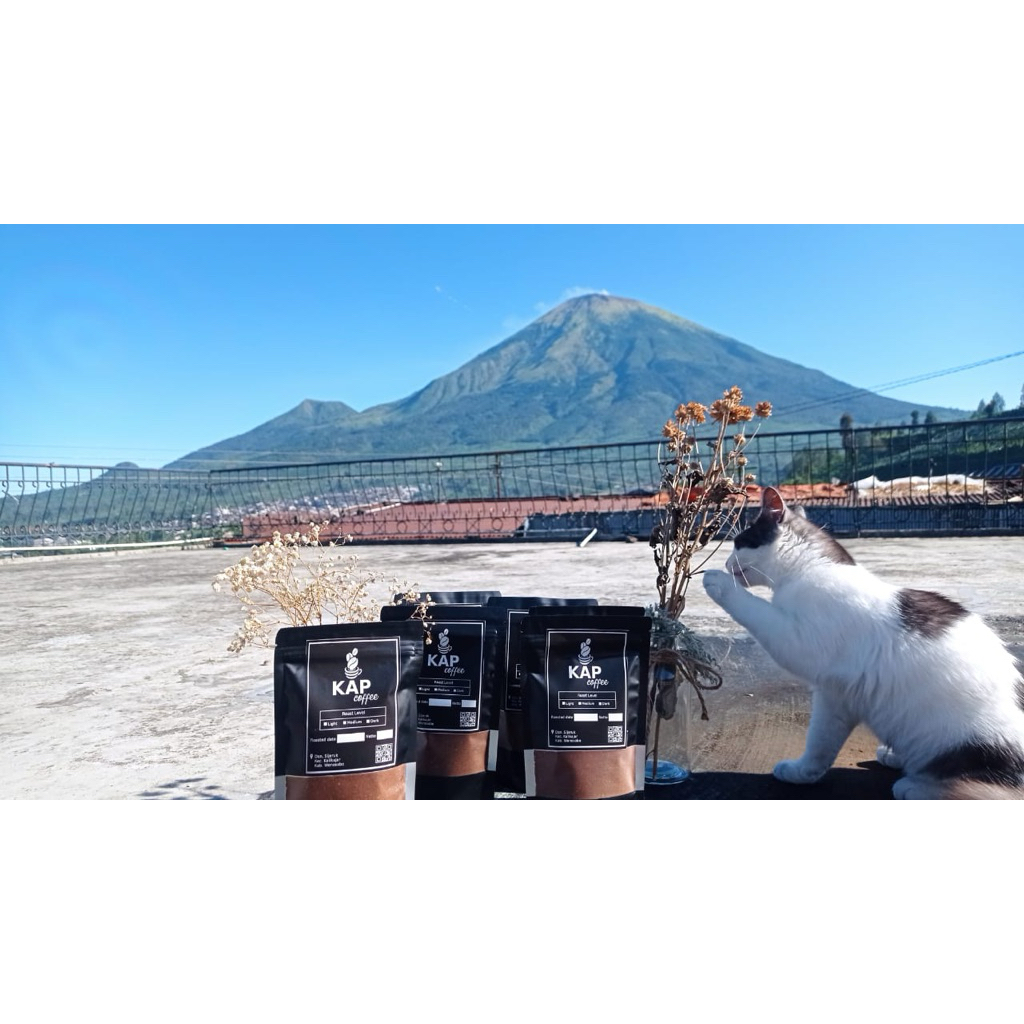 kopi sumbing sindoro