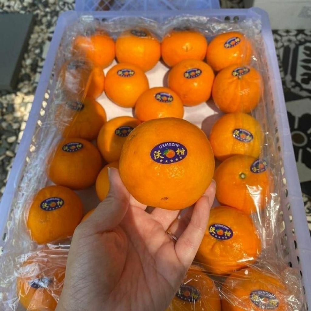 jeruk wogam jeruk wokam fresh bagus