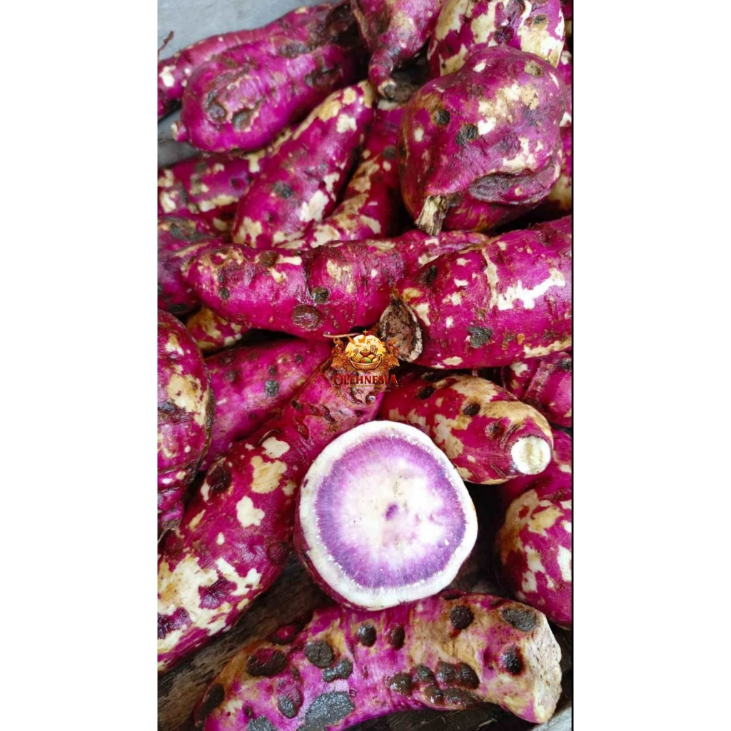Ubi Samarinda Berat 1 Kg