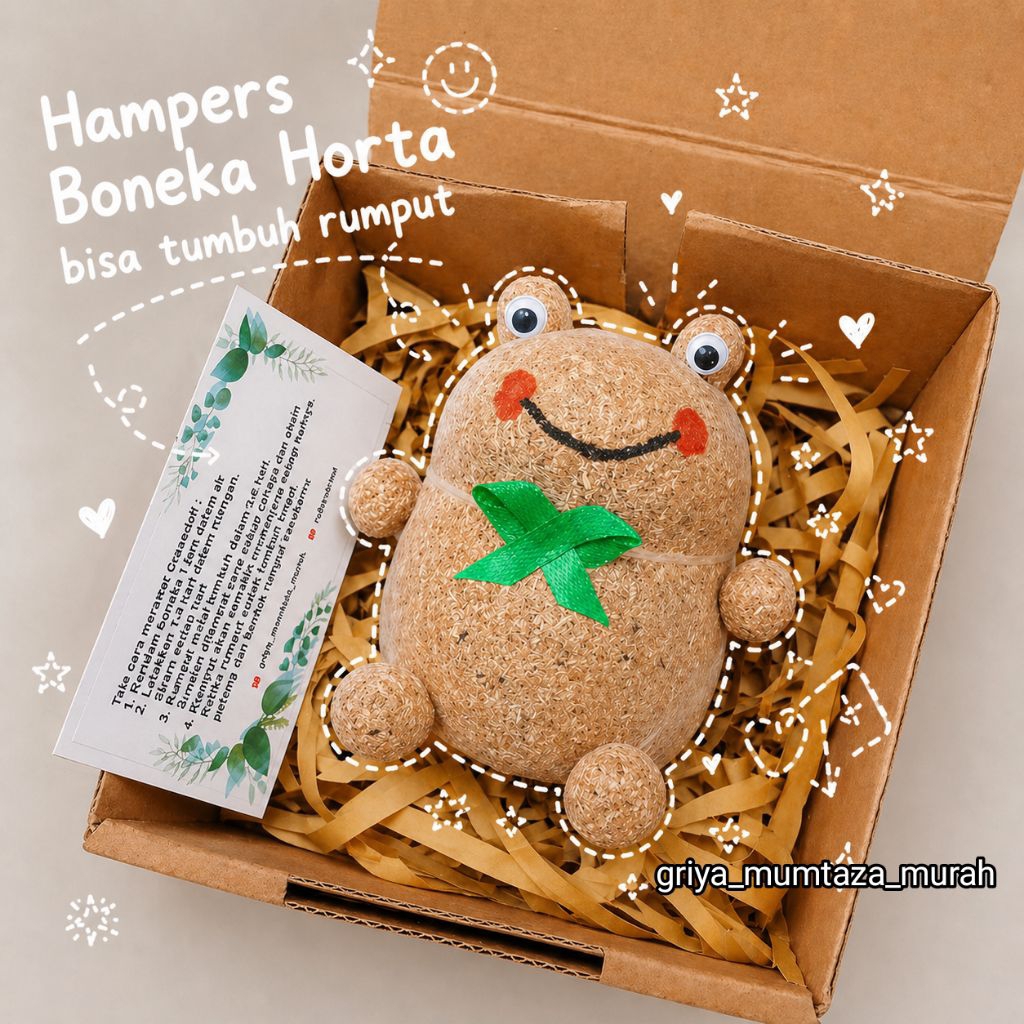 Tanaman Rumput Horta packing with box - Horta Unik Gift Ultah Souvenir - Kado Wisuda Unik - Kado Sid
