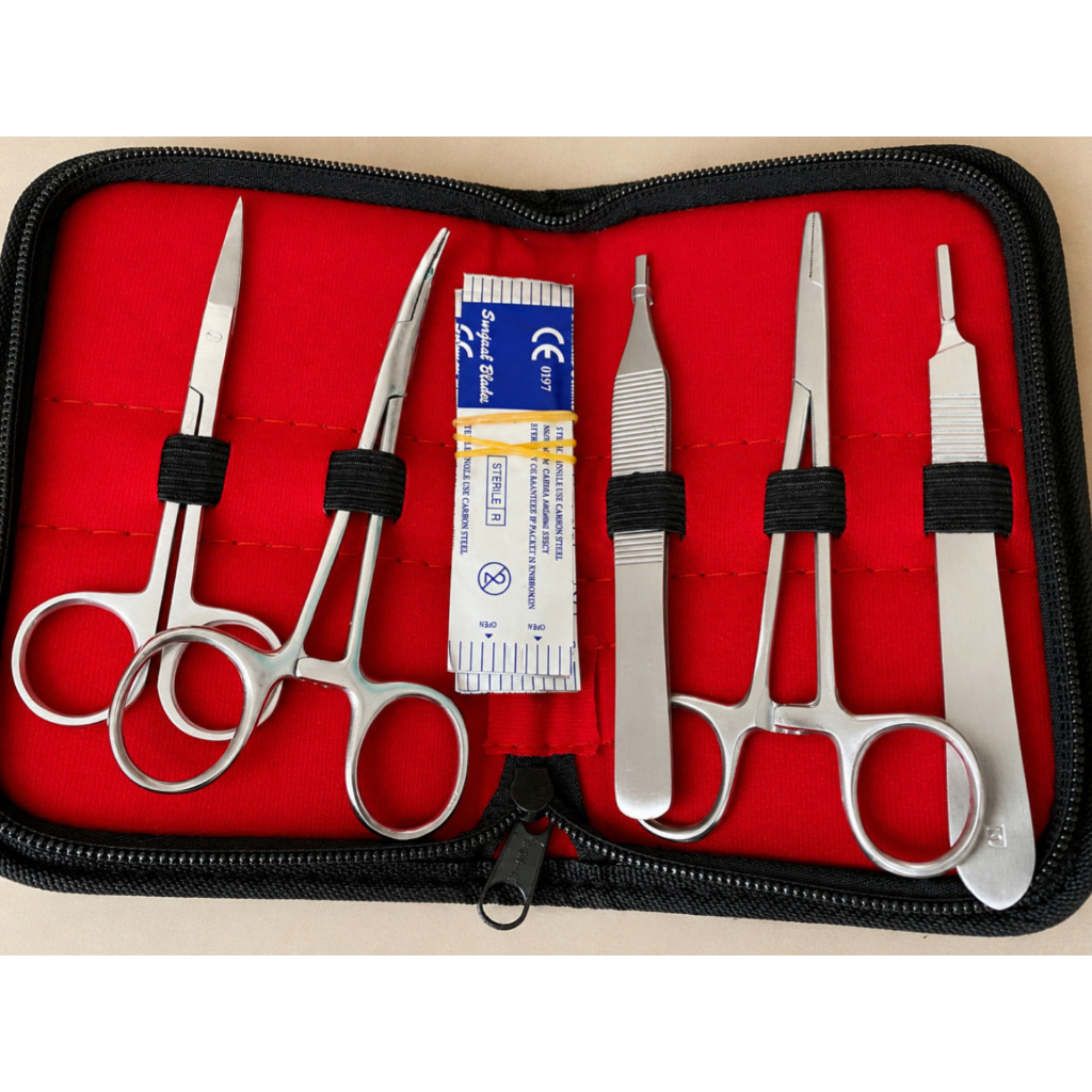 Hecting set dental / suturing kit / Hecting Set Kit Minor Kit Dental