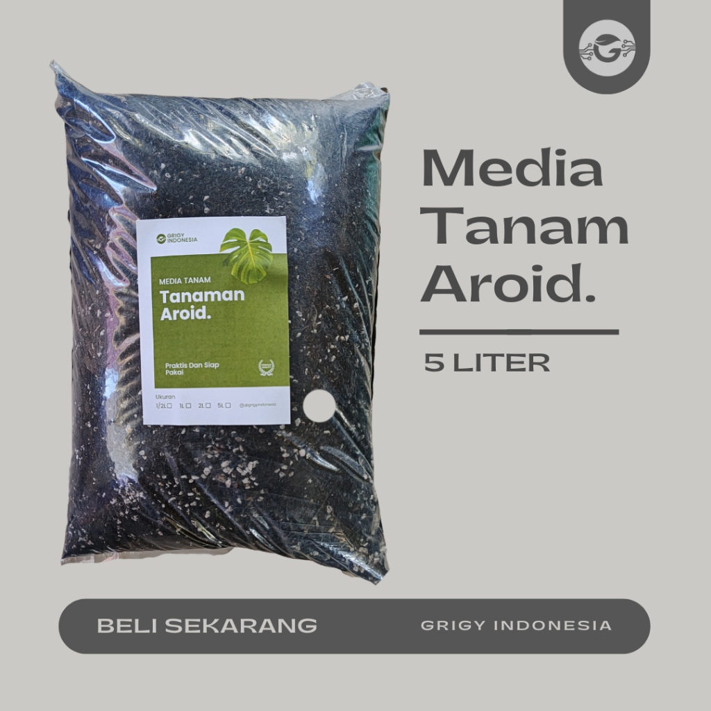 MEDIA TANAM AROID-MEDIA TANAM MONSTERA
