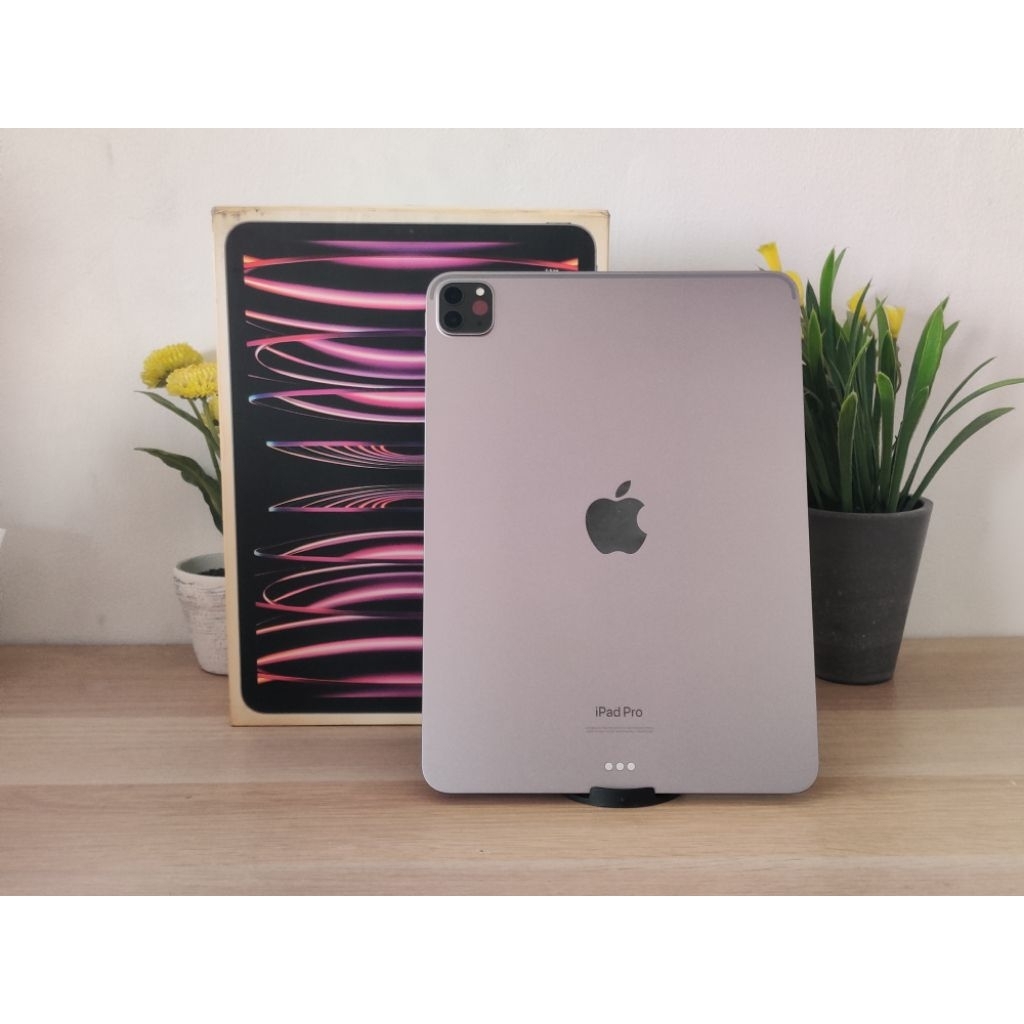 Apple Ipad Pro 11 Inch 2022 M2 128GB Wifi