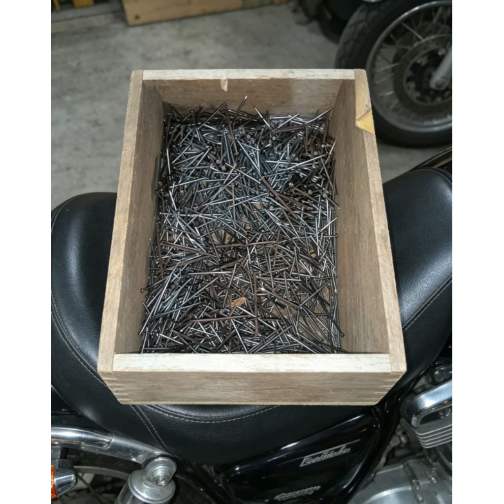 PAKU / PAKU KAYU Ukuran 6 inch 1 DUS