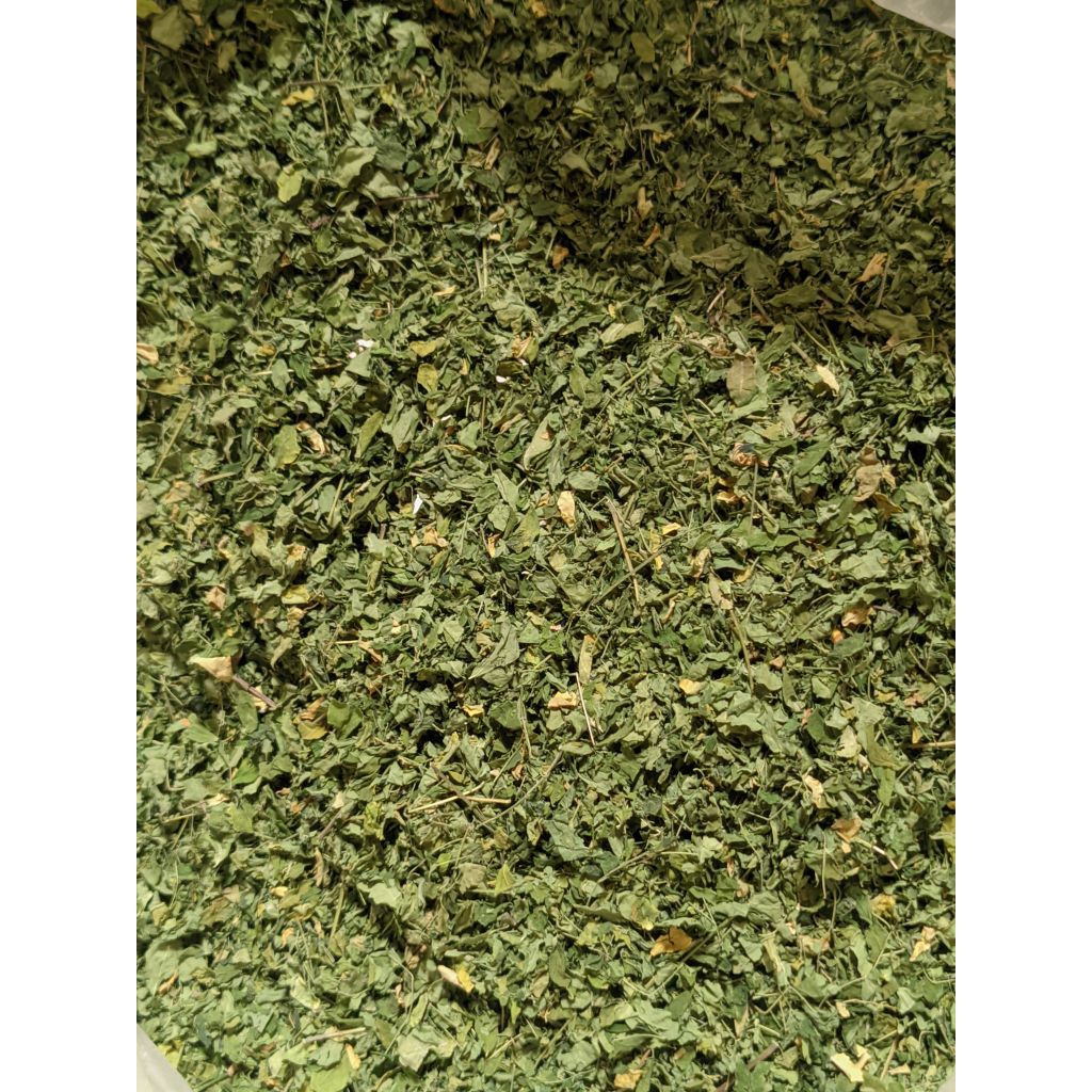 Serbuk Daun Kelor 1 kg - Teh Herbal Superfood untuk Imunitas