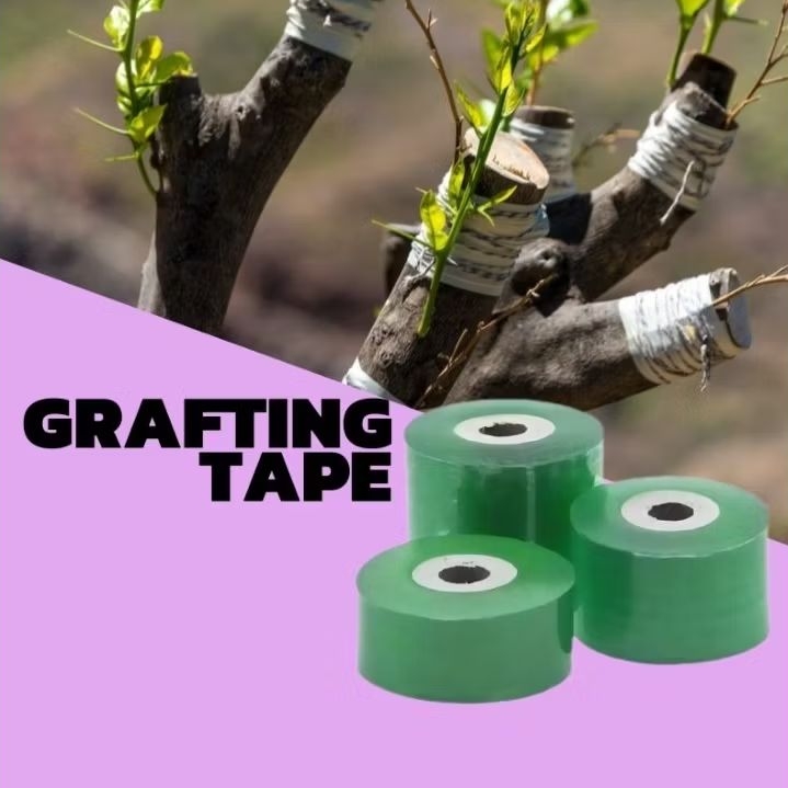 Grafting Tape Plastik Okulasi Perekat Tanaman Grafting Sambung Pucuk