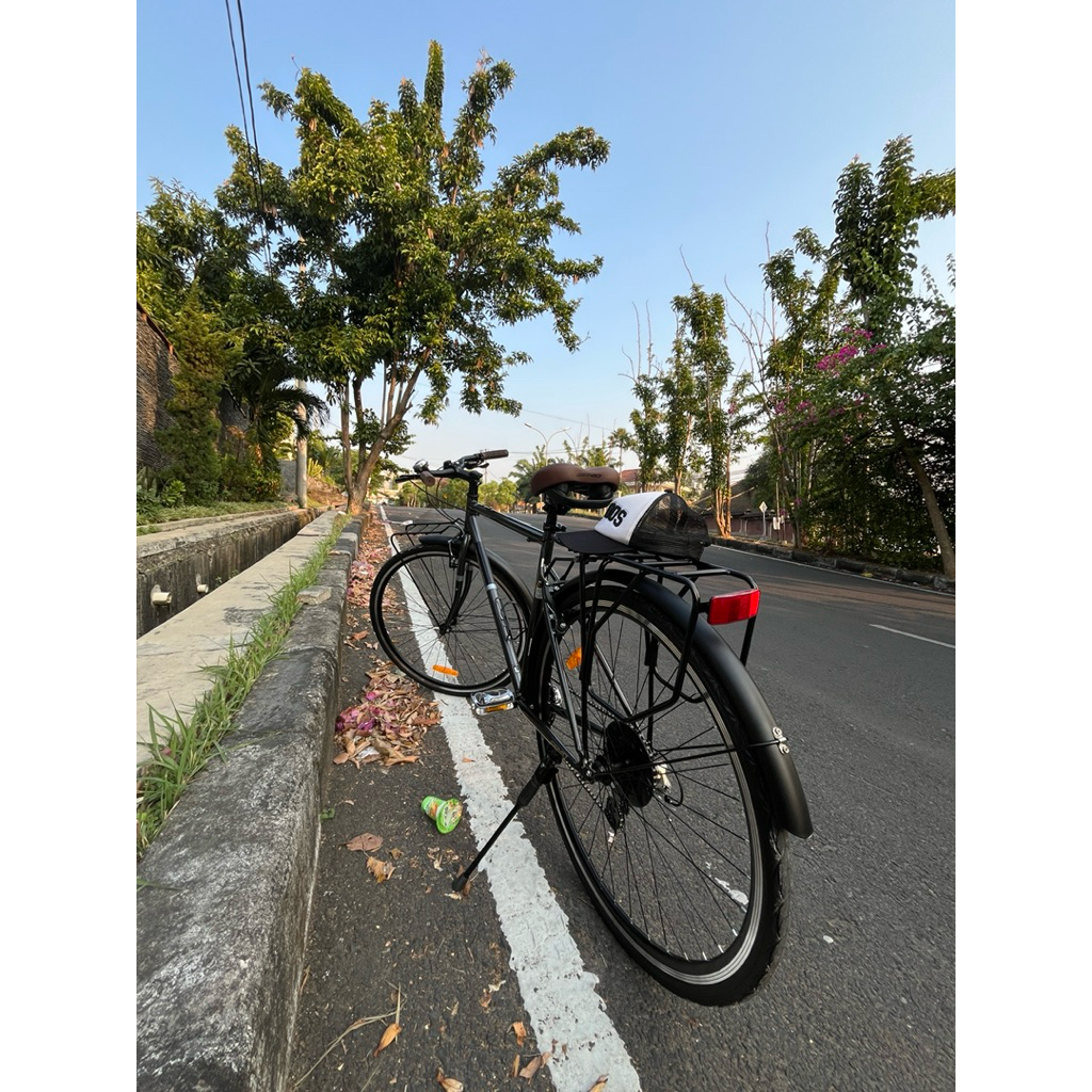 Sepeda Commuter Genio Folkzy XY Size L