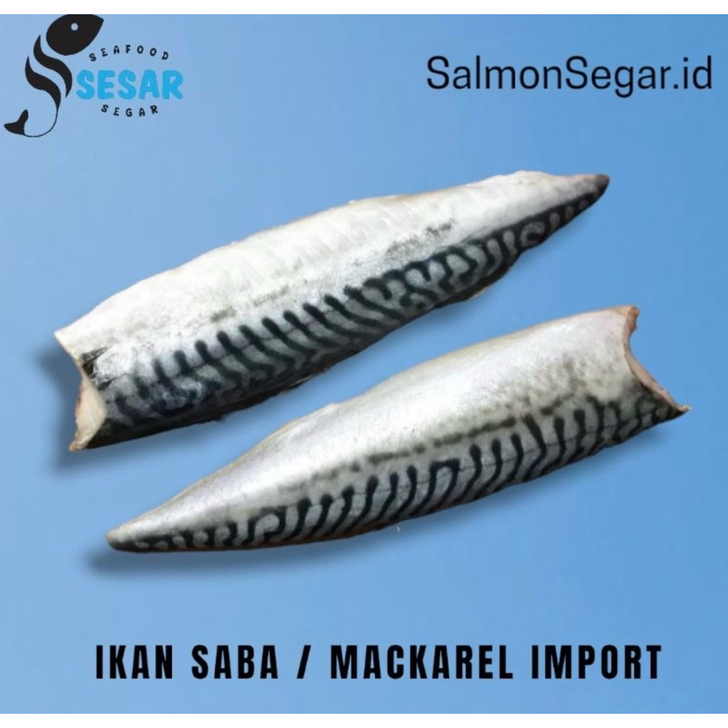 Premium Fillet Saba Norwegia - Ikan Saba Mackarel Impor