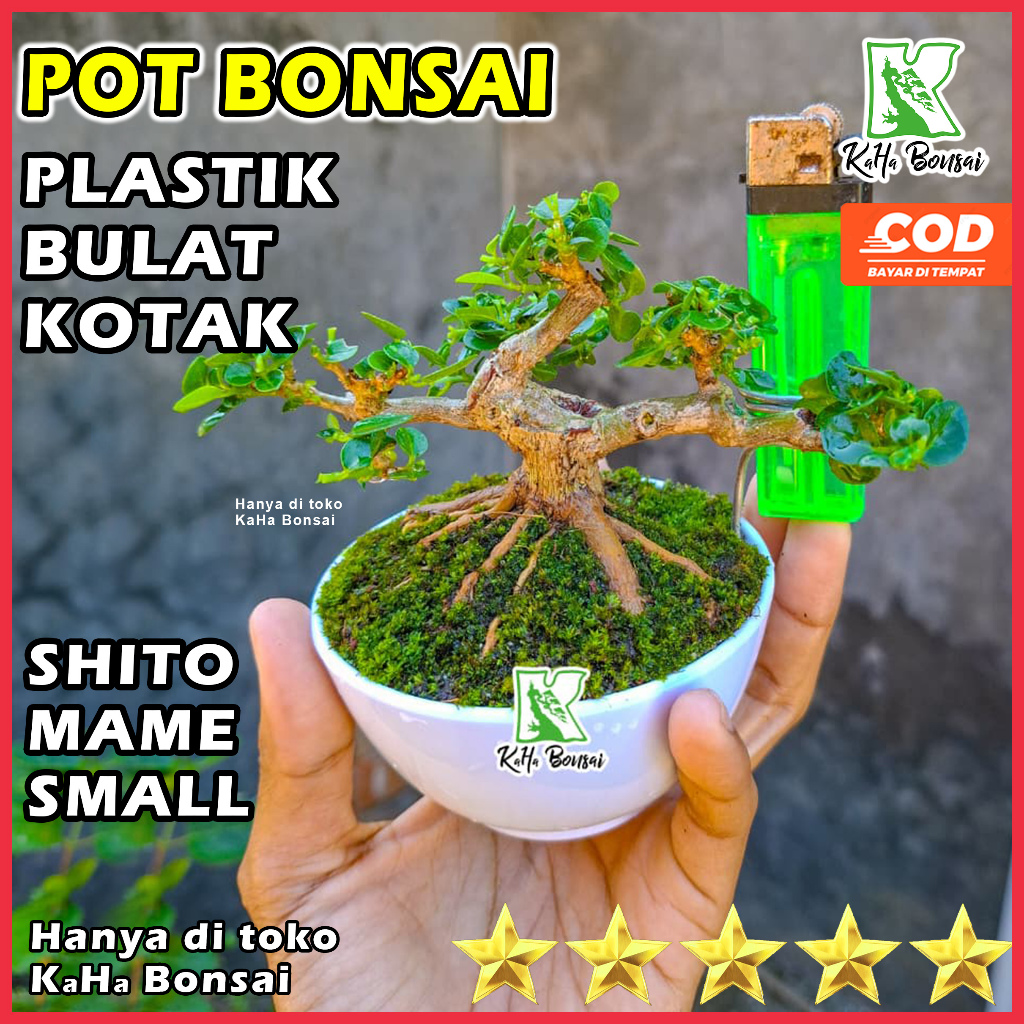 Pot Bonsai Plastik Pot Bonsai Mini Pot Bonsai Aesthetic Pot Bonsai Bulat Pot Bonsai Kotak Pot Bonsai