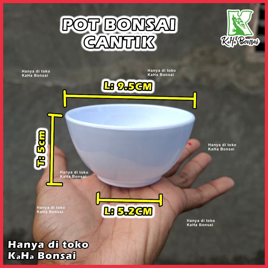 Pot Bonsai Bulat Pot Bonsai Kotak Pot Bonsai Plastik Pot Bonsai Mini Pot Bonsai Aesthetic Pot Bonsai