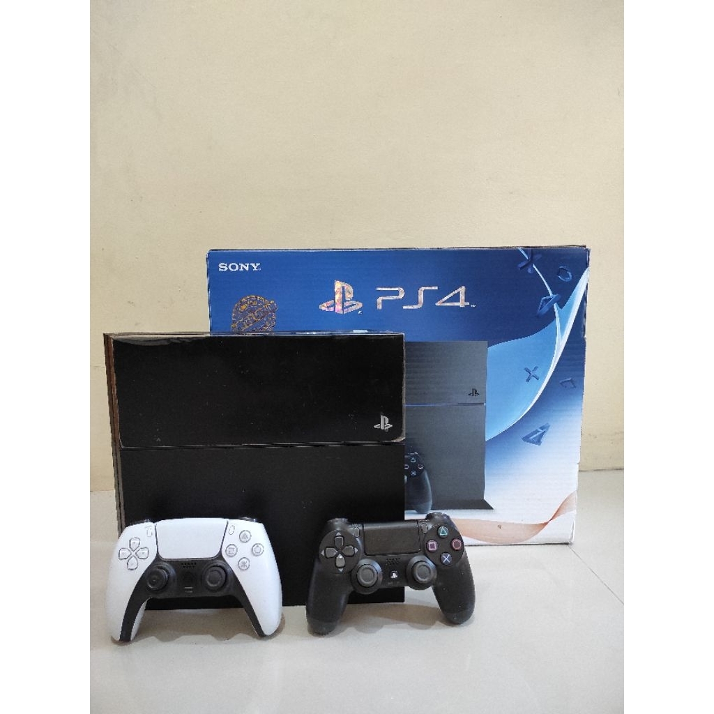 PS4 fat Hen 9