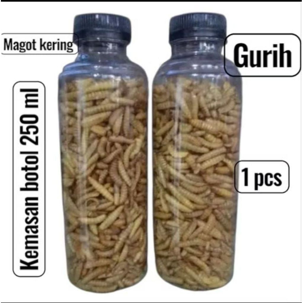 Dried Maggot / Dried Magot / Dry Maggot / Dry Maggot / Kemasan botol 250ml