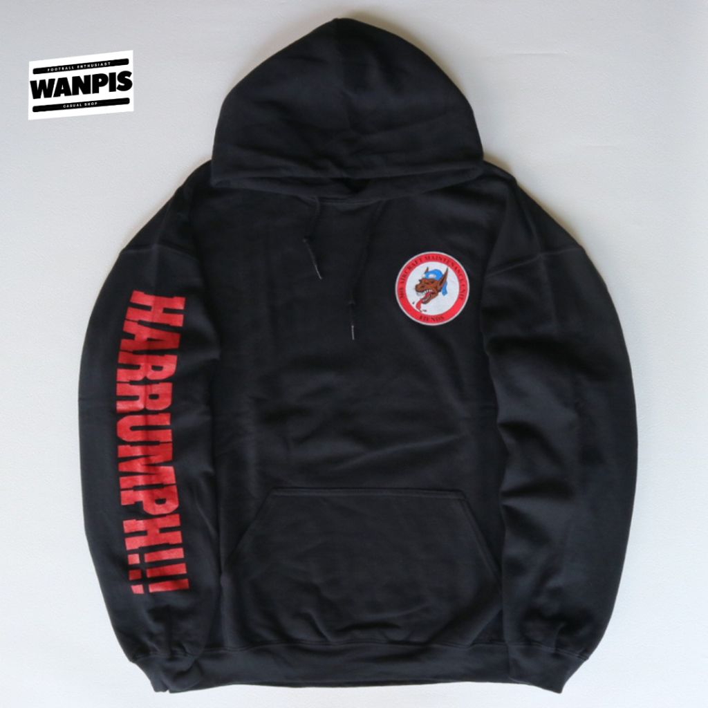 hoodie gildan
