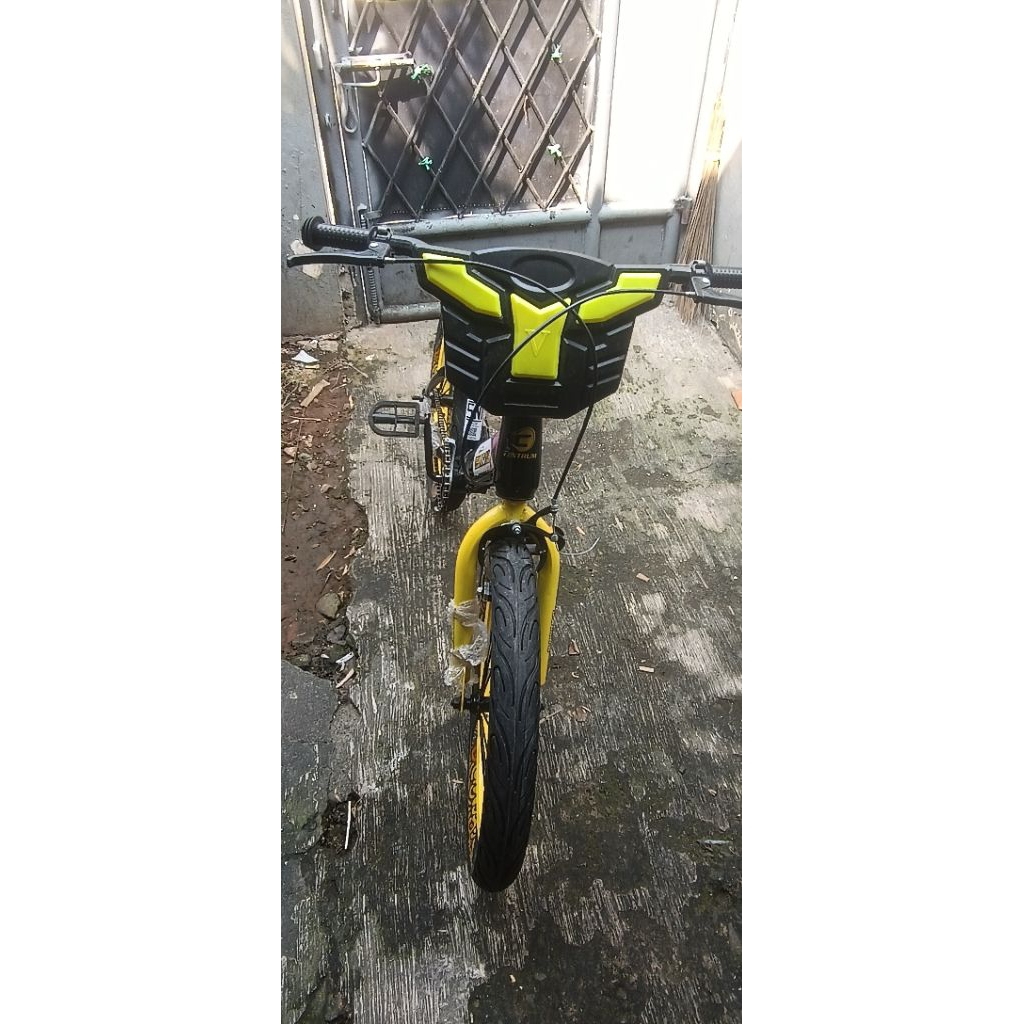 sepeda anak laki 18 inch ban 2.5