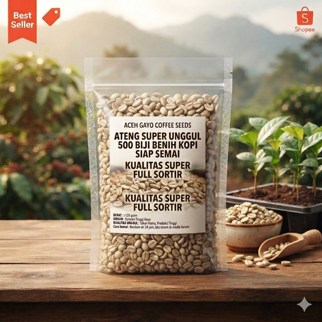 500 Biji Benih Kopi Arabika Ateng Super Unggul - Siap Semai Aceh Gayo