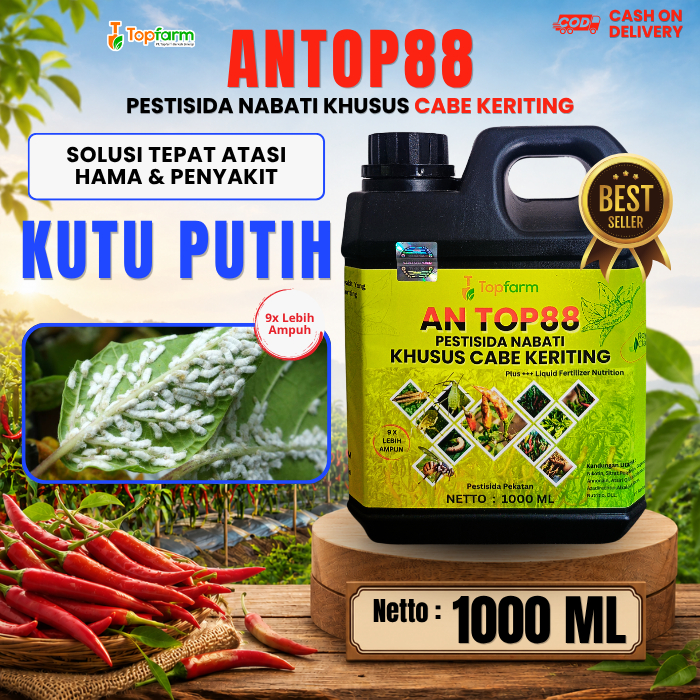 Obat Kutu Putih Pada Daun Cabe / Obat Pembasmi Kutu Putih / Obat Anti Kutu Putih / Obat Cabe Tersera