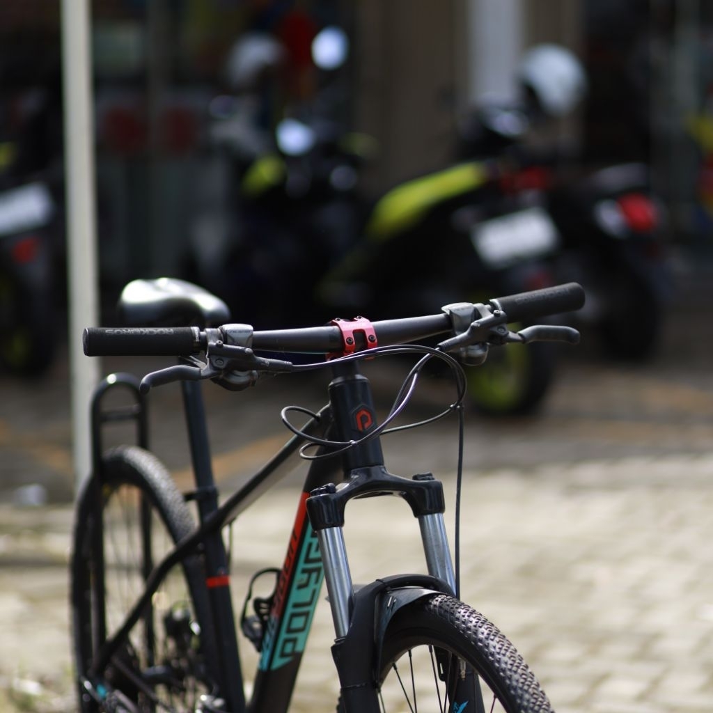 Polygon Xtrada 5 2019 Size M