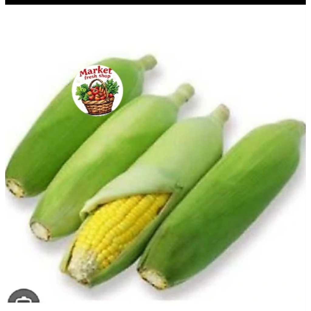 jagung manis Hawai 1 kg / jagung rebus segar