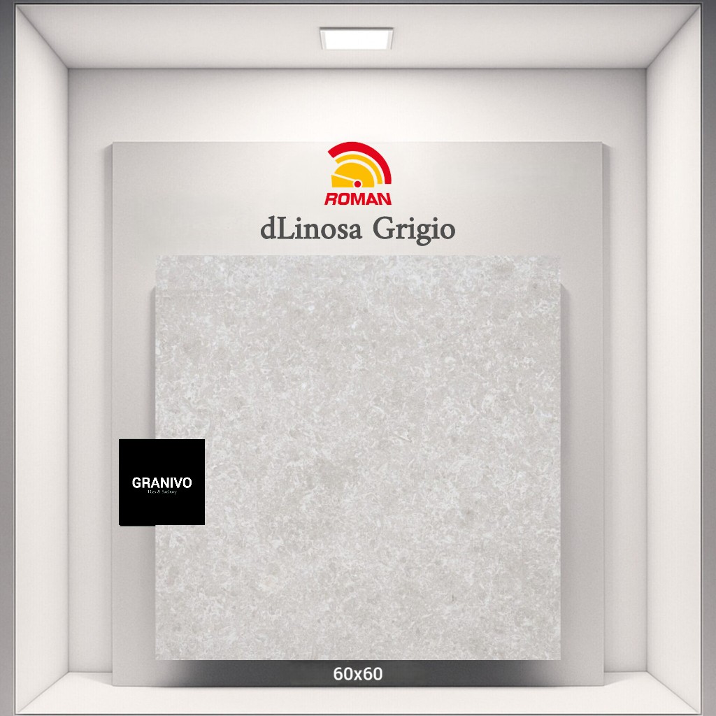 ROMAN GRANITE GT609873FR dLinosa Grigio / DLINOSA GRIGIO / GRANIT / HOMOGENOUS TILE / TILES ISI 3 PC