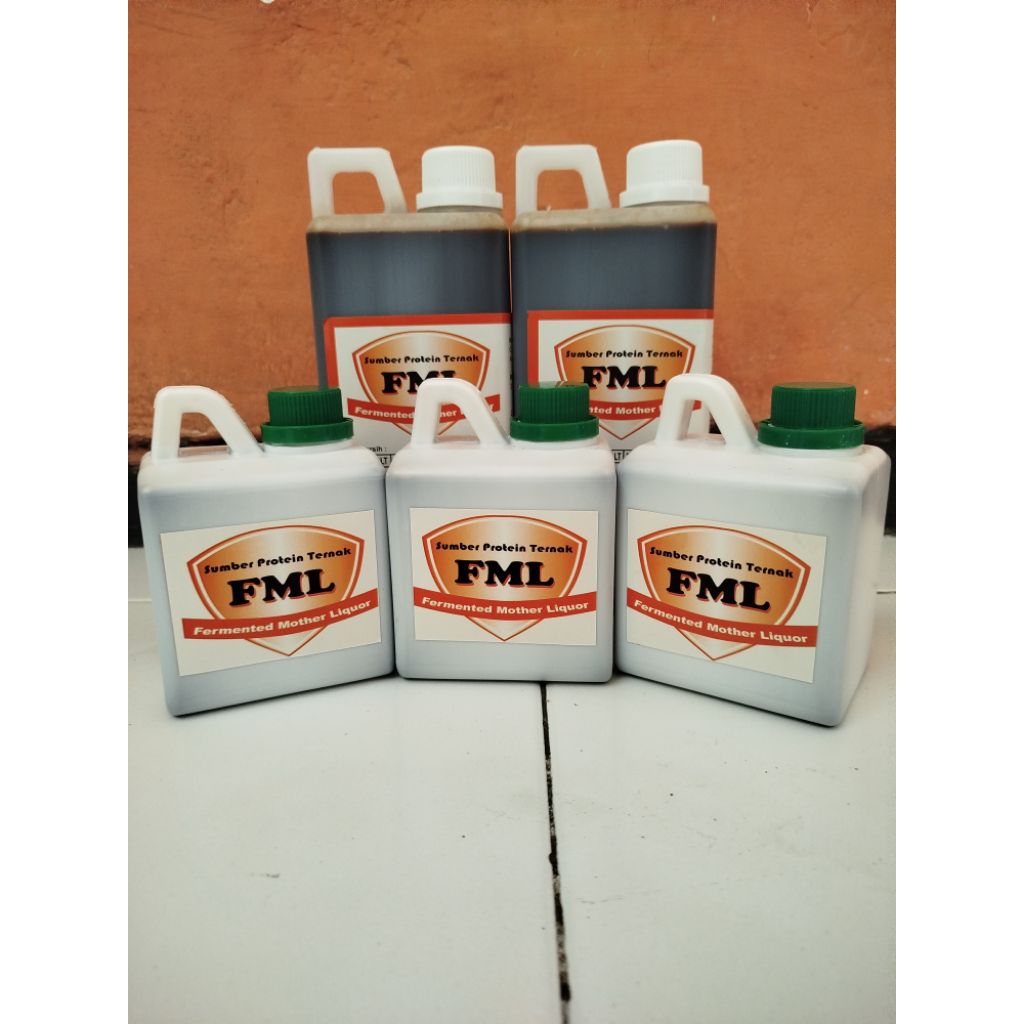 Sumber Protein Ternak FML Fermented Mother Liquid