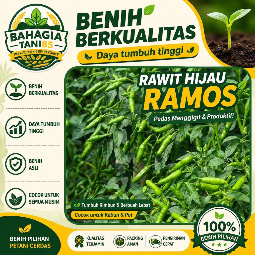 BIBIT CABE RAWIT LOKAL SIRAMOS - 100 ++ Biji