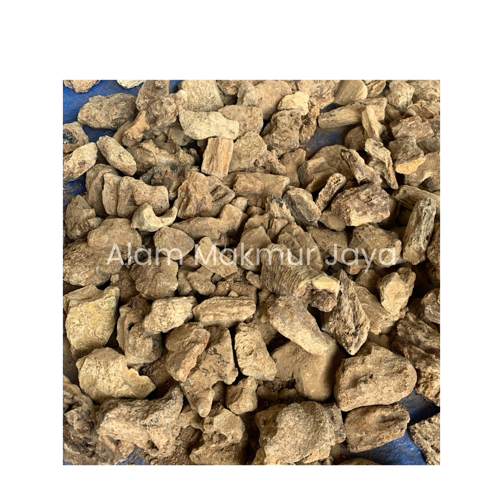 Damar selo batu damar gum resin 500gr