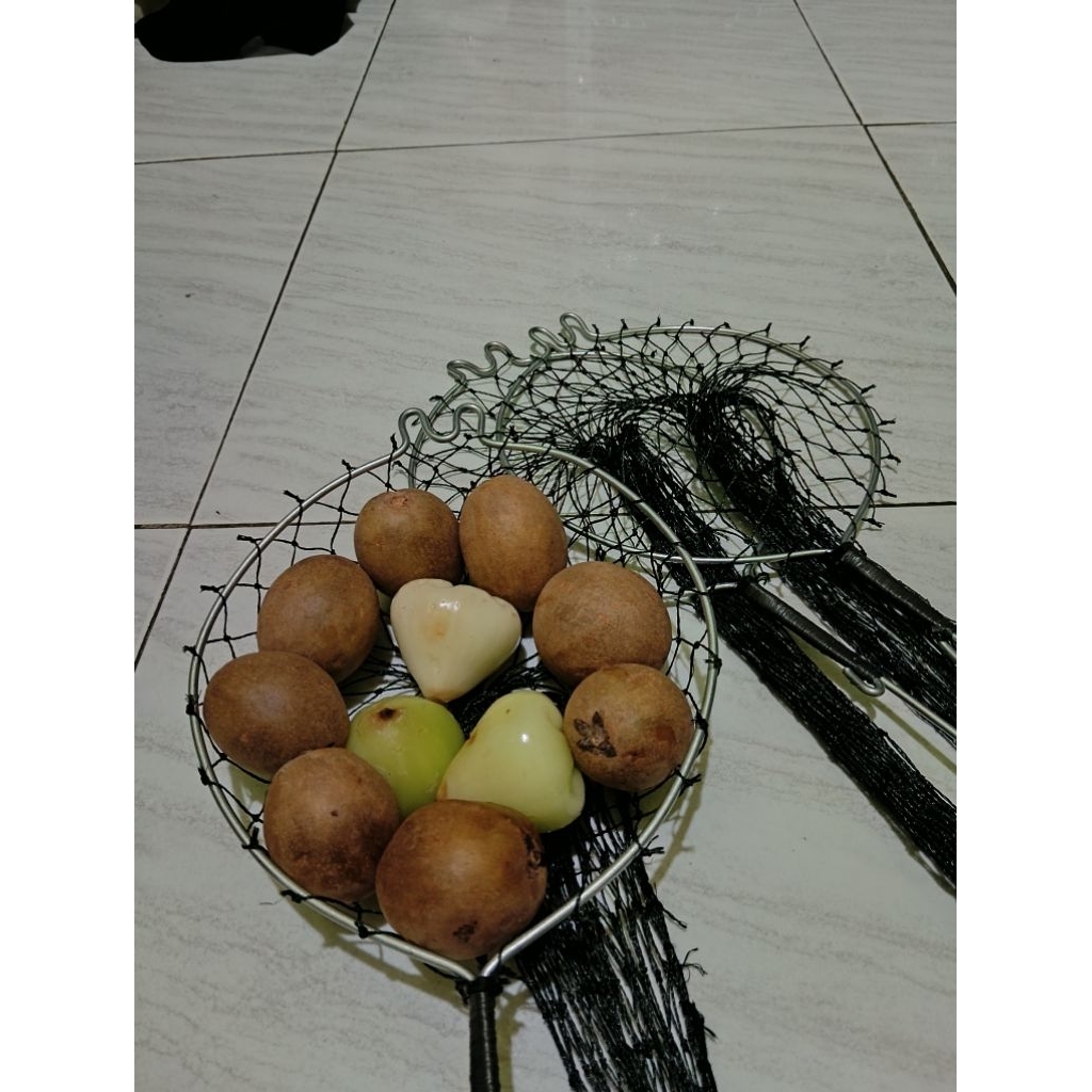Alat petik buah tinggi buah mangga Dll