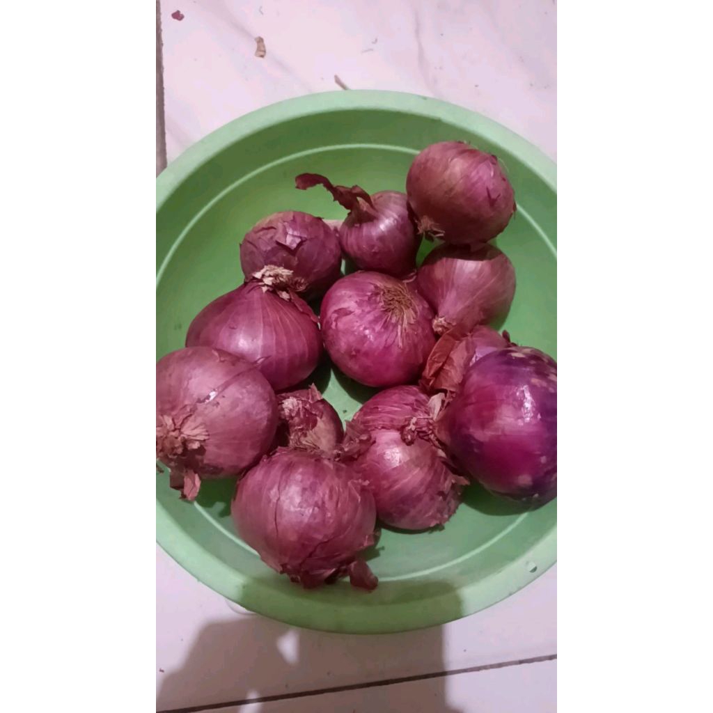 Bawang Merah India Bawang Merah Murah Peking India