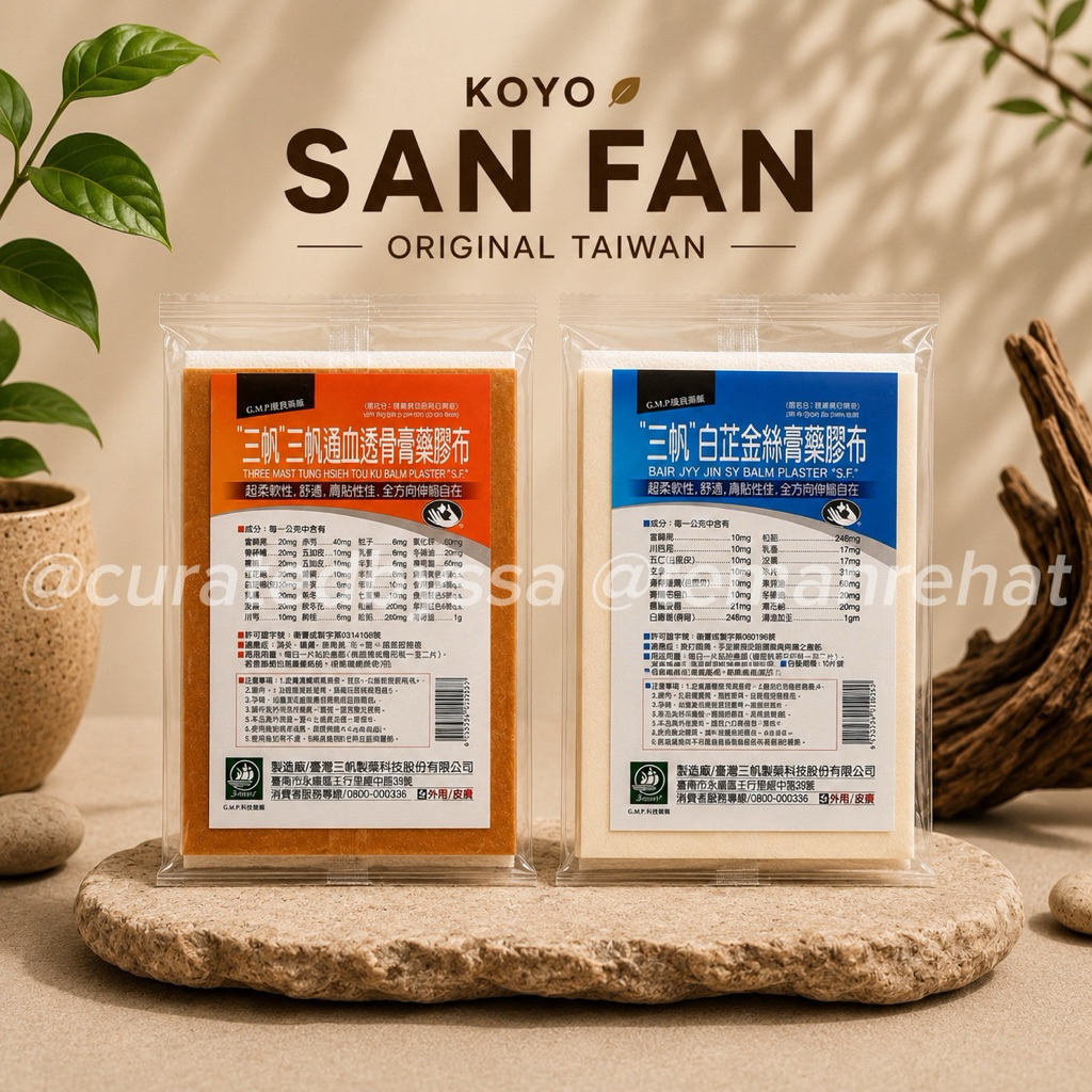 Koyo San Fan Taiwan Coklat & Putih | Koyo Otot, Punggung, Sendi Kaku & Pegal