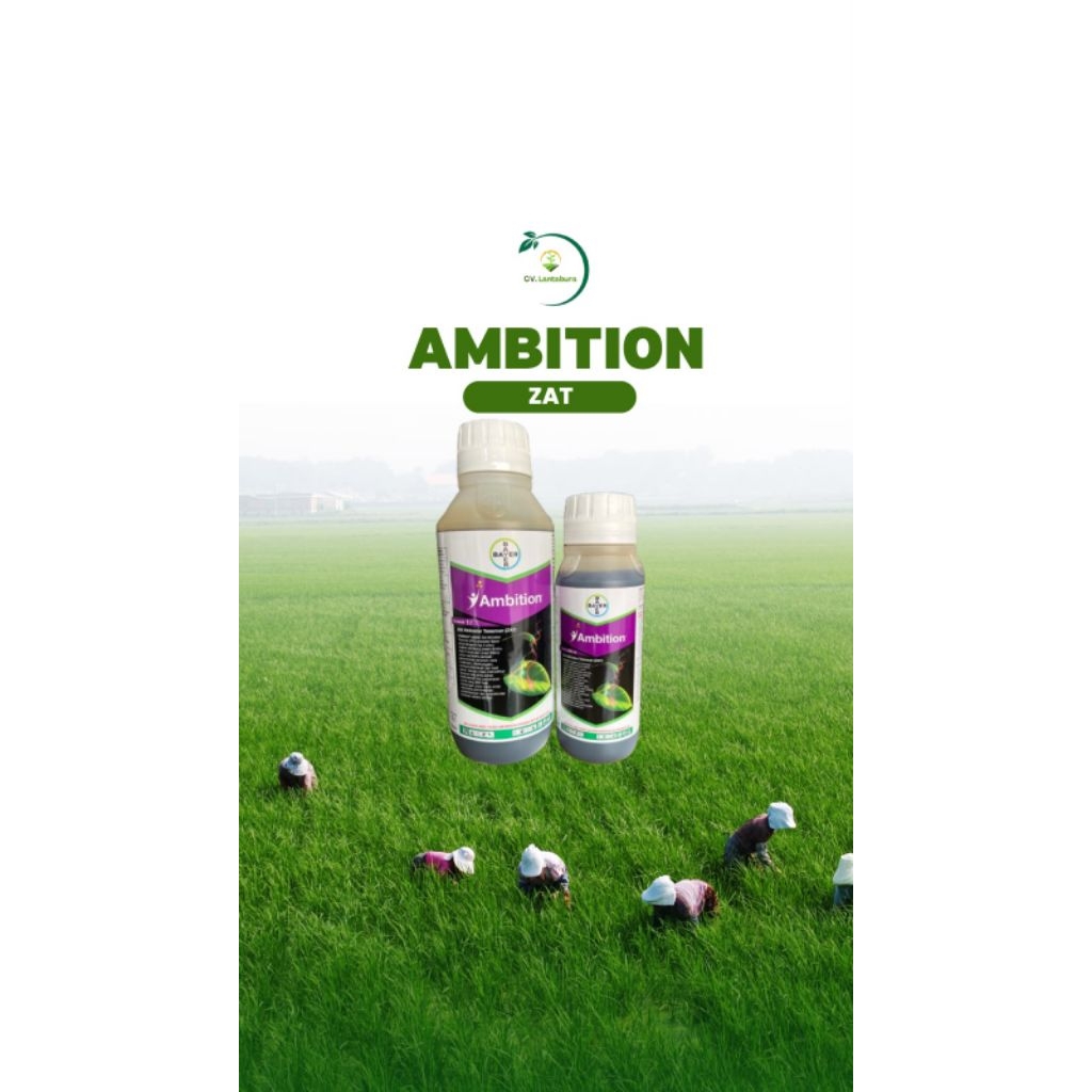 AMBITION BAYER