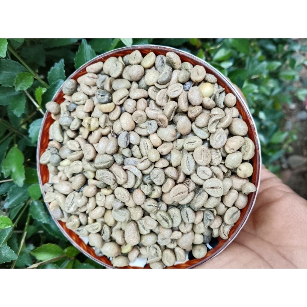 Biji Kopi WINE Robusta 1 Kg / Biji Menta Wine kopi fermentasi