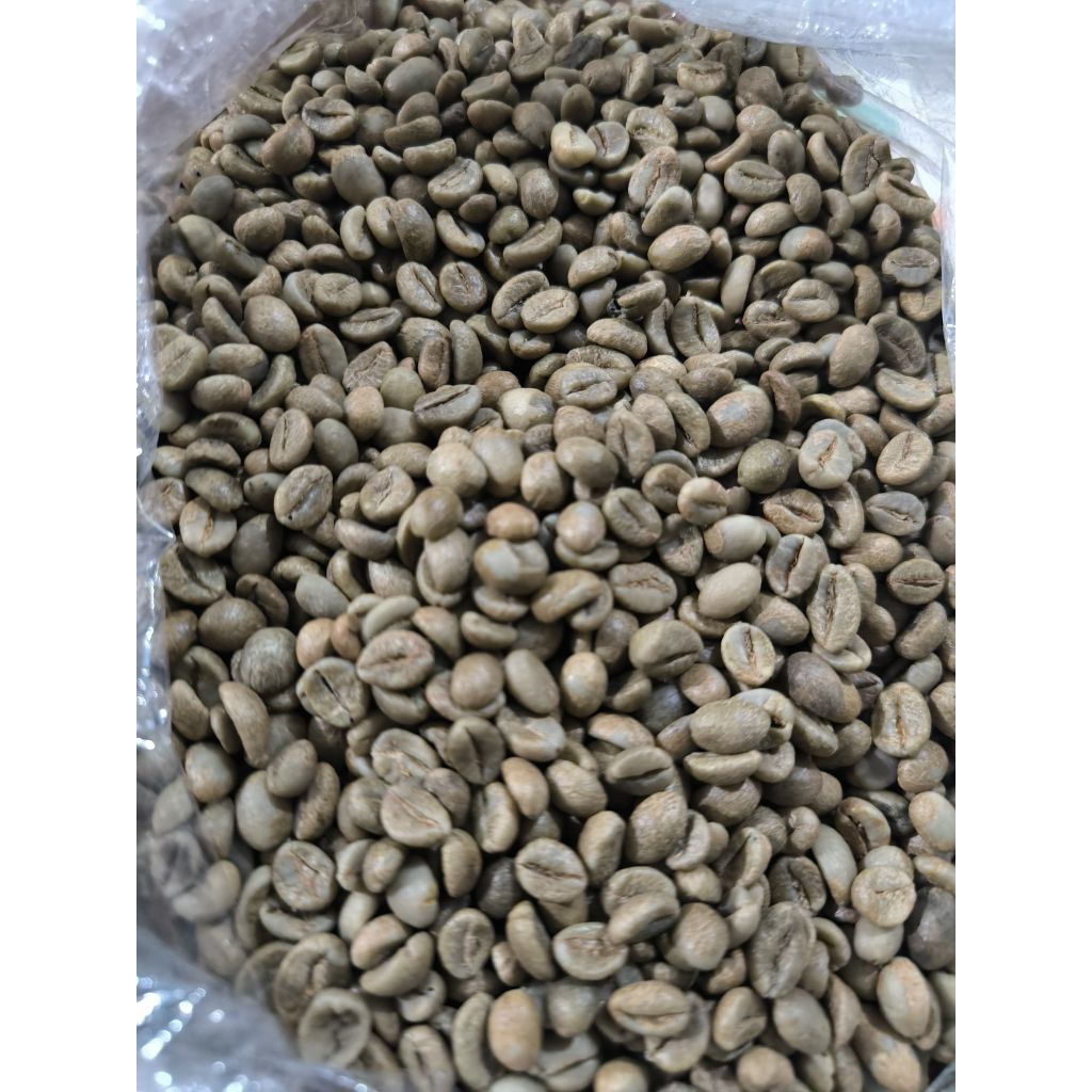 Green Bean Fine Robusta