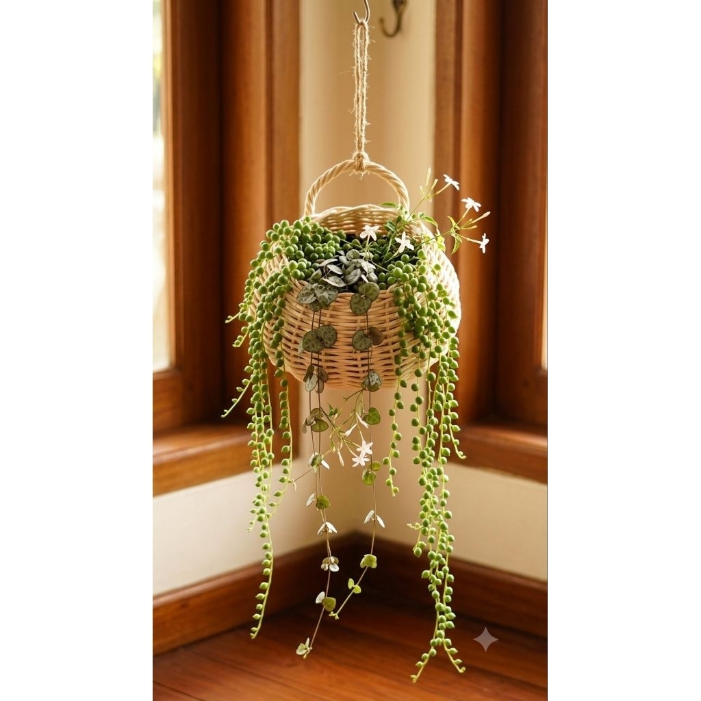 pot rotan dinding mini