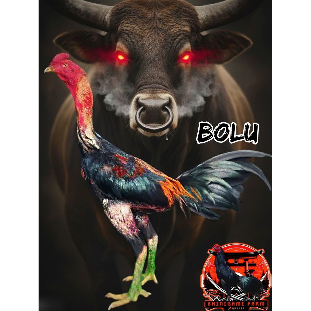 Telur Pakhoy Blackbull Line Vertil.