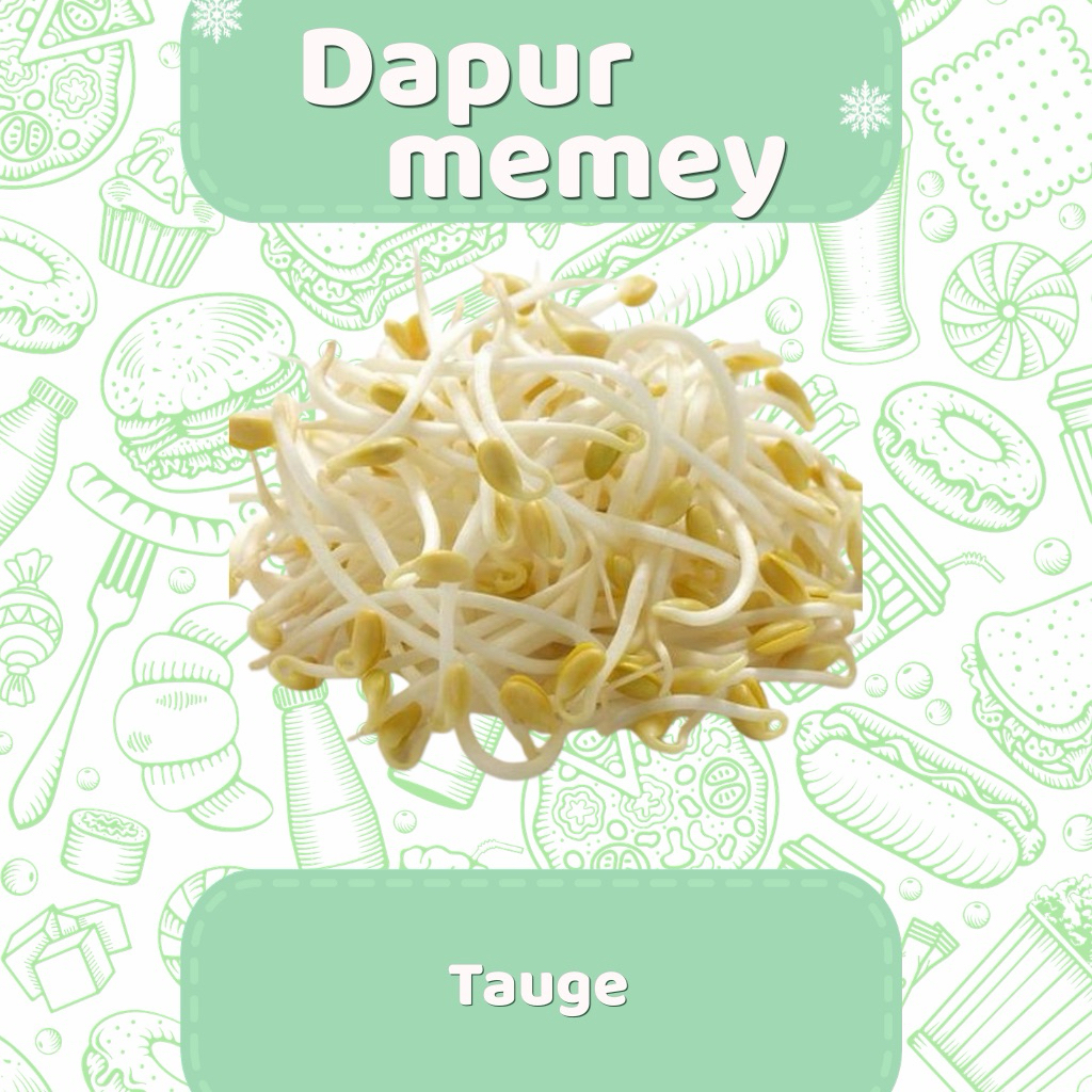 Tauge Segar Fresh