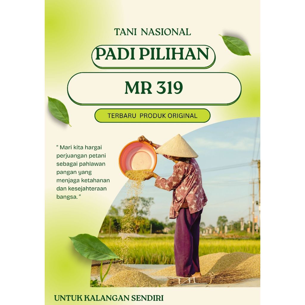 PADI MR 319 KEMASAN 5 KG