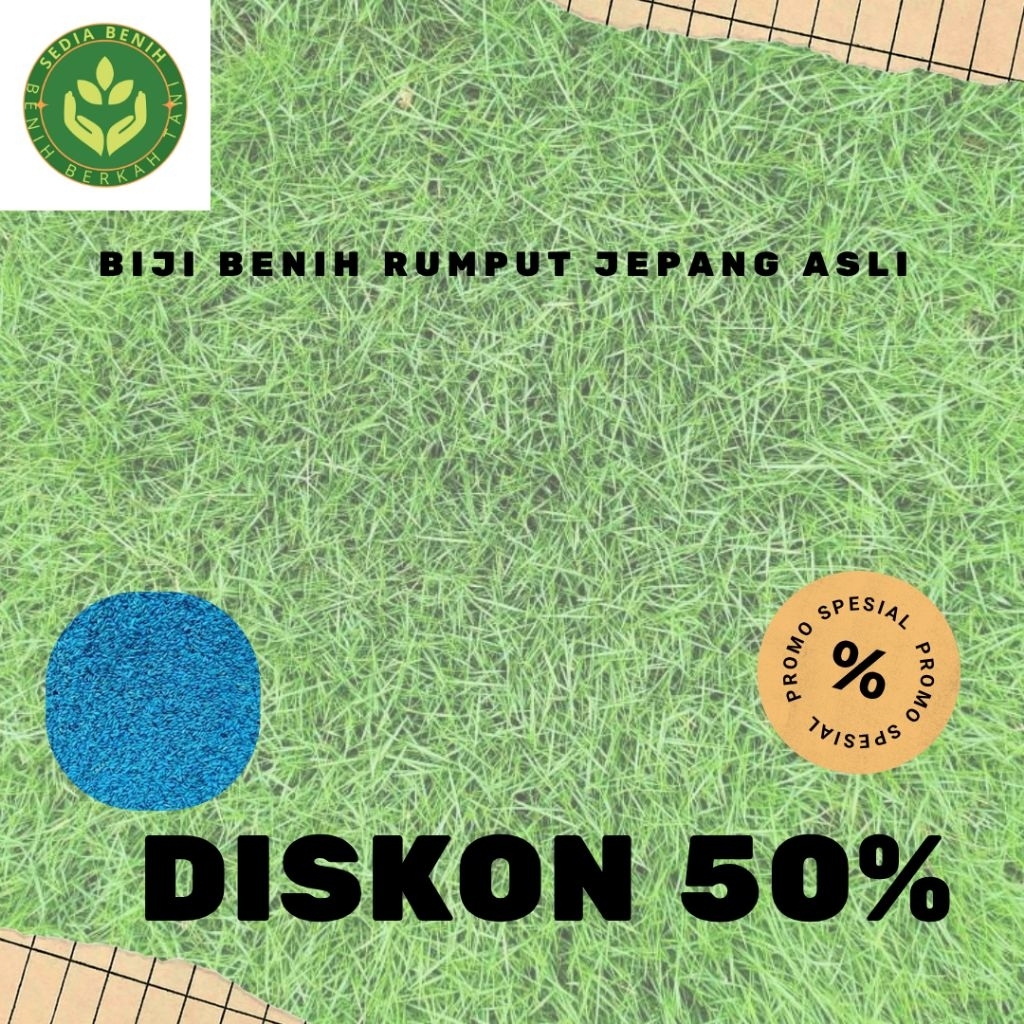 1000 Biji  Benih Rumput jepang ASLI