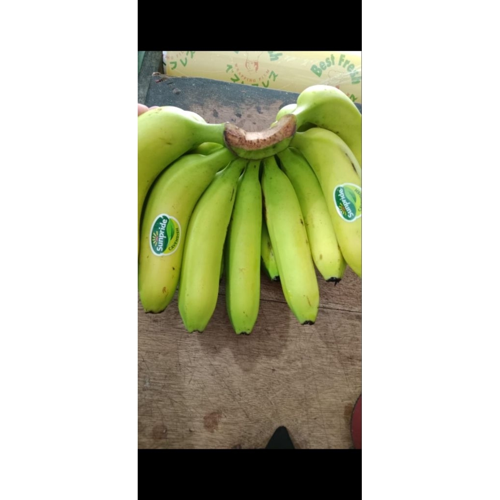 Pisang Cavendish 1 dus