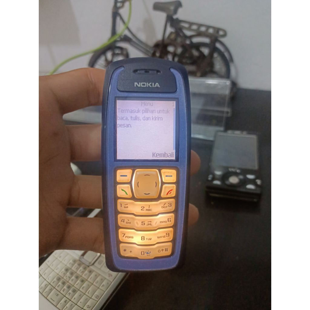 Nokia 3100