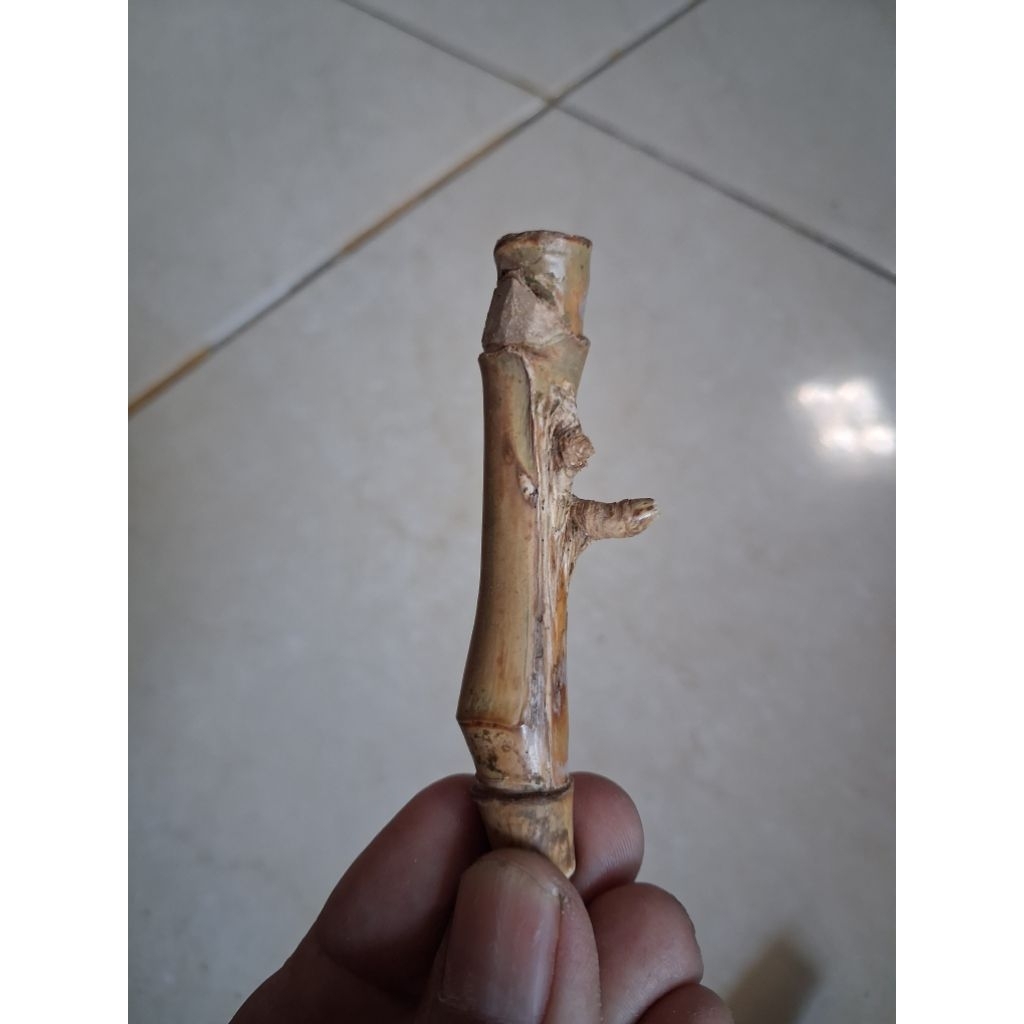 BAMBU UNIK PETUK JALU (7,5 CM) ISTIMEWA