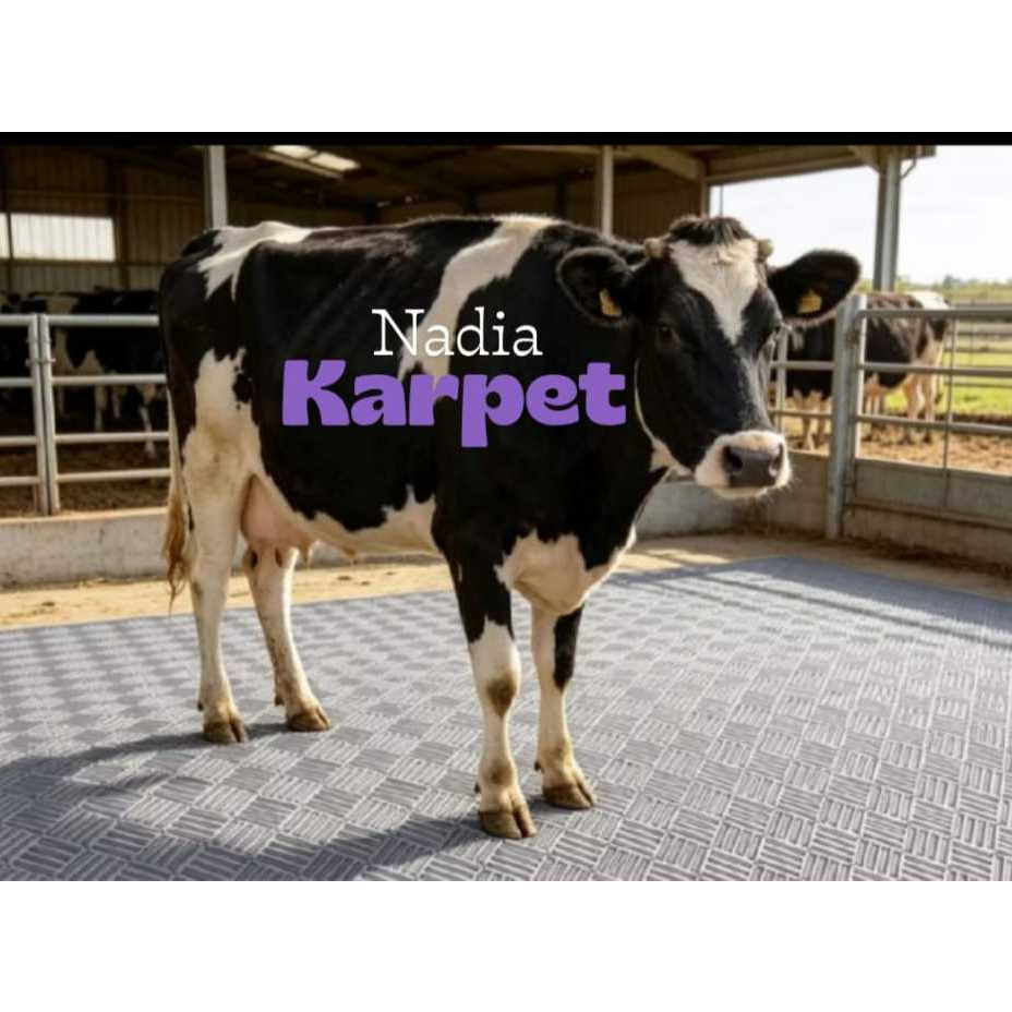 Karpet alas sapi/karpet sapi/Karpet kandang sapi jumbo tebal 10 sampe 15 mili