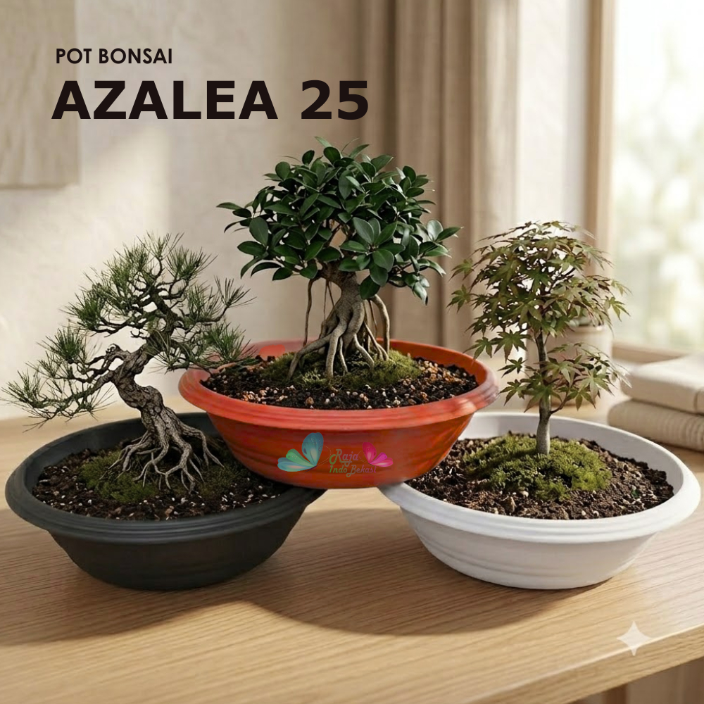 Pot Bonsai Azalea 25 Cm Pot Bonsai Tawon Ceper Plastik Utk Bonsai Kelapa Bkn Pot Bonsai Keramik Mame