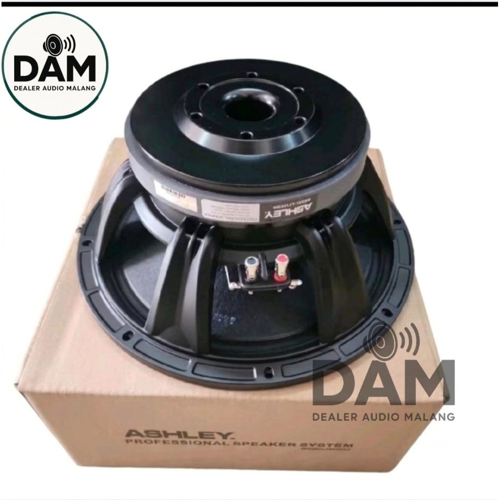 Speaker Ashley LF12V300 LF 12V300 LF 12 V300 12 Inch